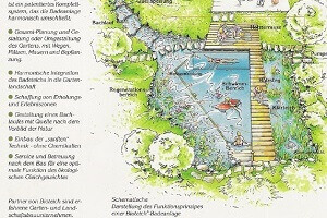 Bioteich, Technik: Copicmarker, Tusche
