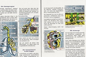 Ratiopharm Broschüre, Technik: Copicmarker, Filzstift, Airbrush